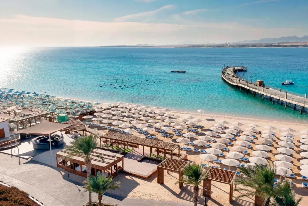 SRNTY Sahl Hasheesh
